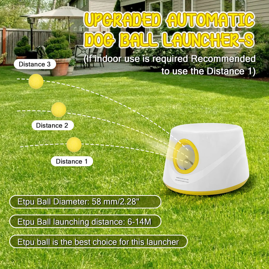 The 'Never-Ending Fetch' Automatic Ball Launcher
