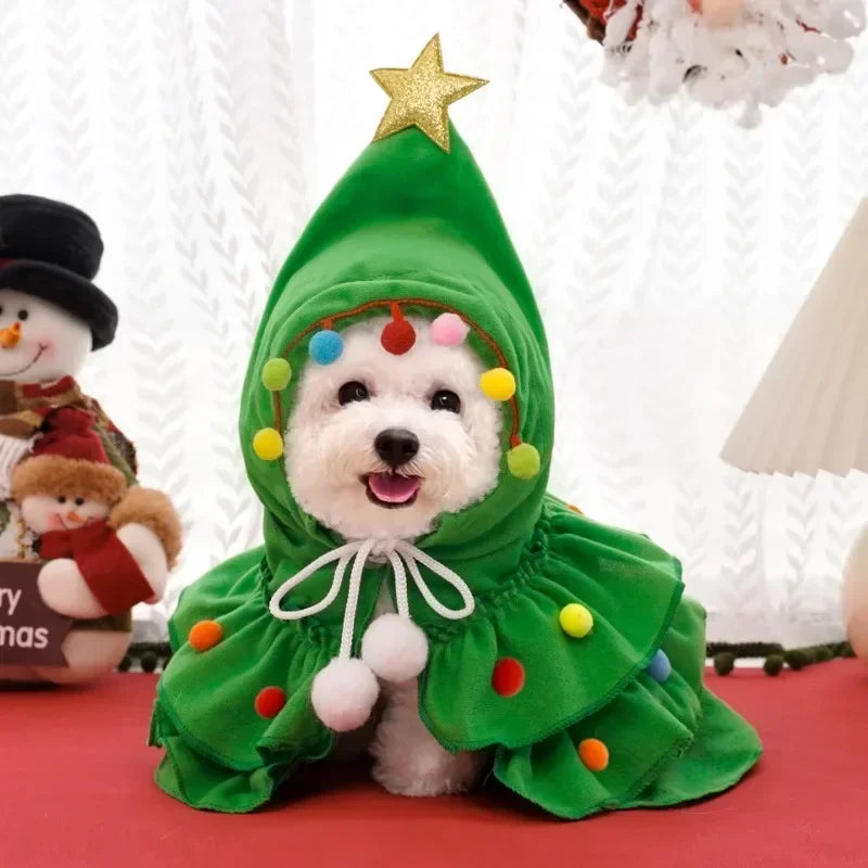 The 'Star of the Show' Festive Pet Cape