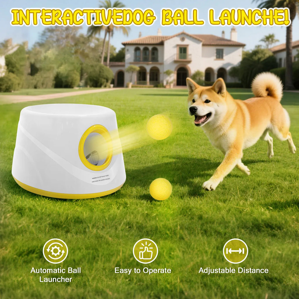 The 'Never-Ending Fetch' Automatic Ball Launcher