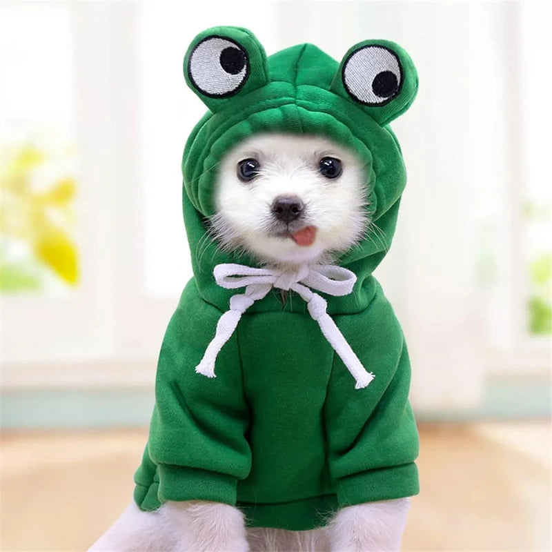 The 'Toad-ally' Adorable Frog Hoodie