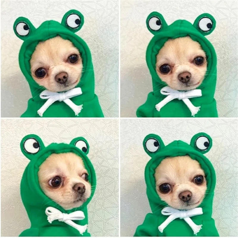 The 'Toad-ally' Adorable Frog Hoodie