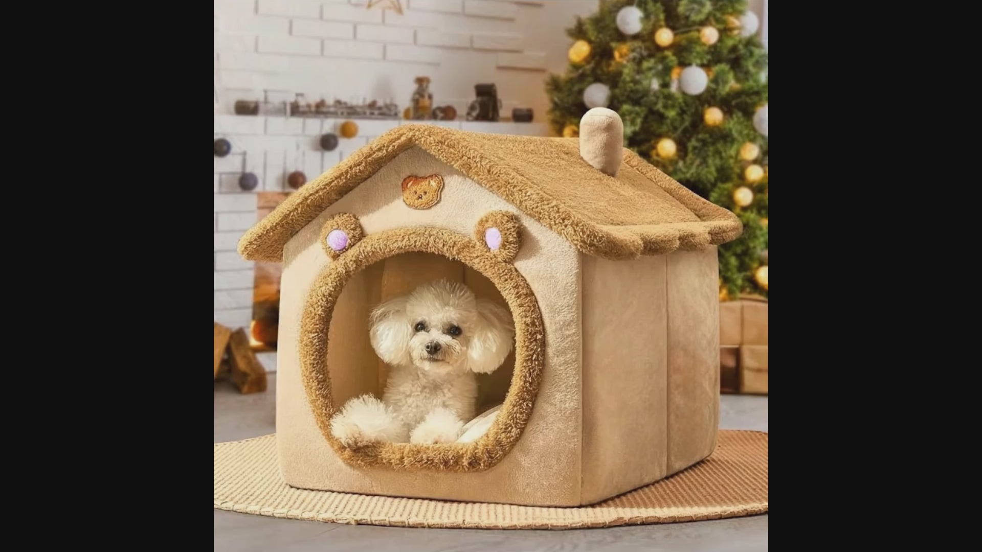 The 'Safe Haven' Indoor & Outdoor Pet House
